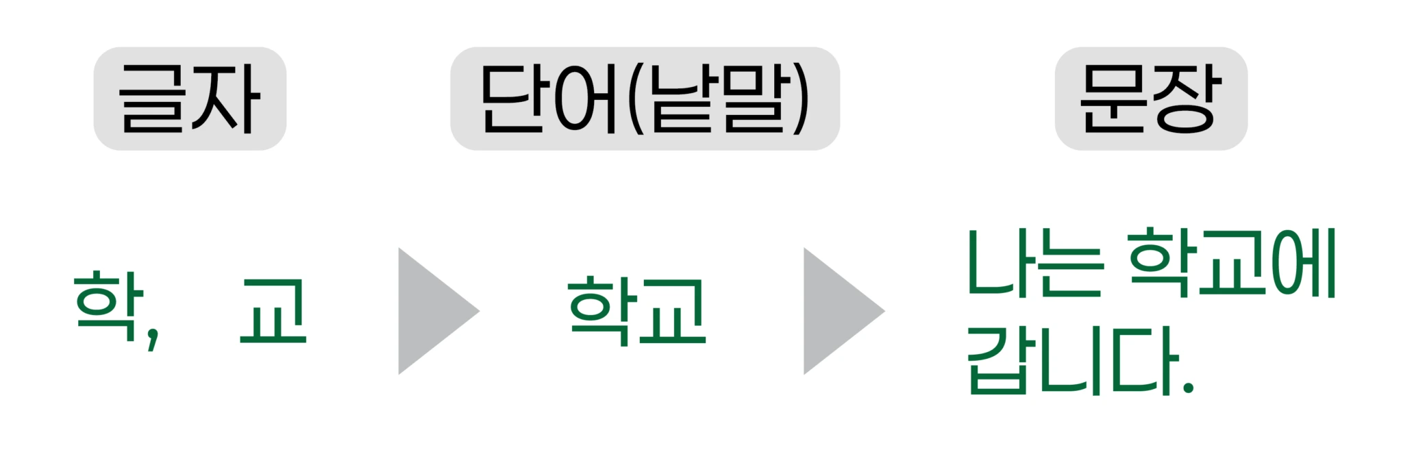 한글 문서 작성의 기본인 글자와 단어 및 문단 단락의 개념을 정돈하여 보여주는 이미지