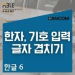 한글 오피스의 한자 및 특수문자 입력과 글자 겹치기 방법